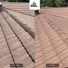 Roof Cleaning Lorraine 5