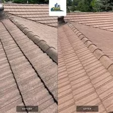 Roof Cleaning Lorraine 4