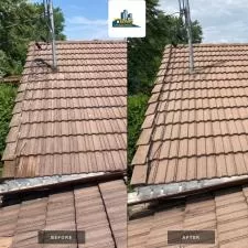 Roof Cleaning Lorraine 6