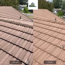 Roof Cleaning Lorraine 9