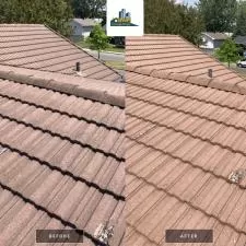 Roof Cleaning Lorraine 8