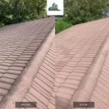 Roof Cleaning Lorraine cover