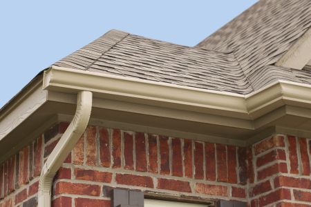 Gutter cleaning