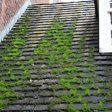 How to Remove Moss, Lichen & Black Streaks From Your Roof